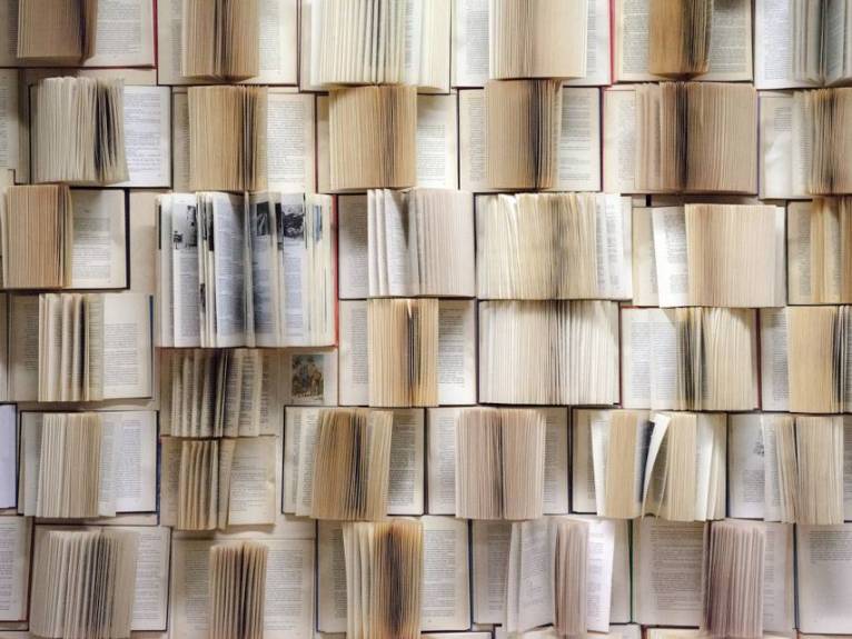 Bücherwand (copyright pixabay)