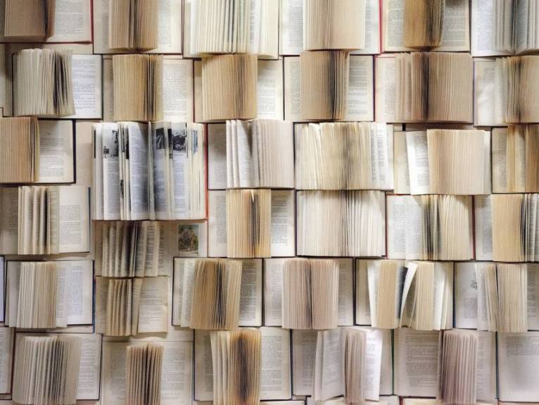 Bücherwand (copyright pixabay)