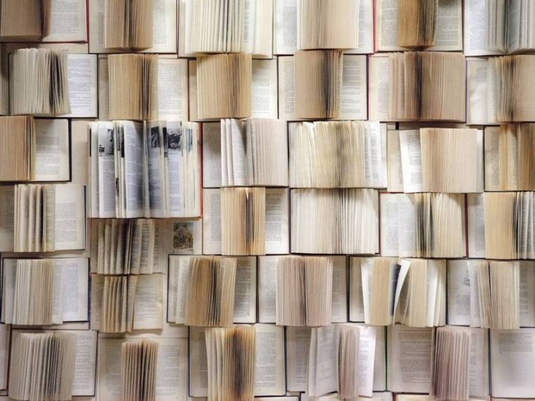 Bücherwand (copyright pixabay)